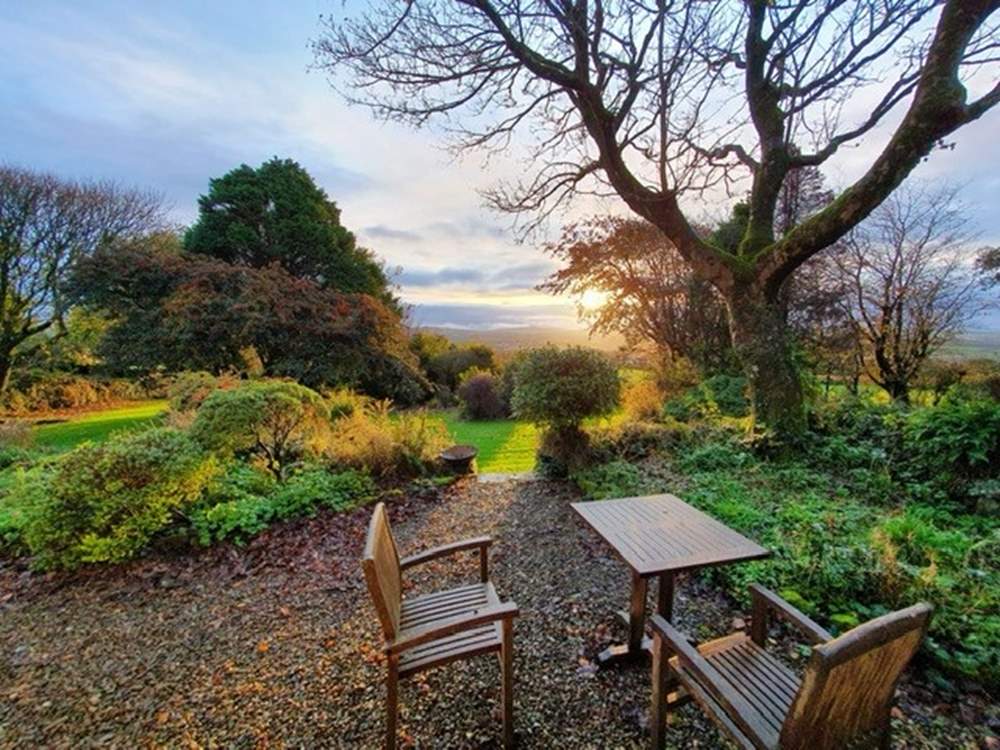 Garden at sunset
